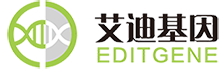 基因敲除細(xì)胞/點突變/文庫篩選/CRISPR檢測_球盟会生物基因【官網(wǎng)】